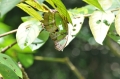 2013-10_CubaActive_B (333)